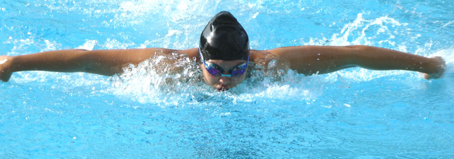 Holy Mackerels swimmers 1